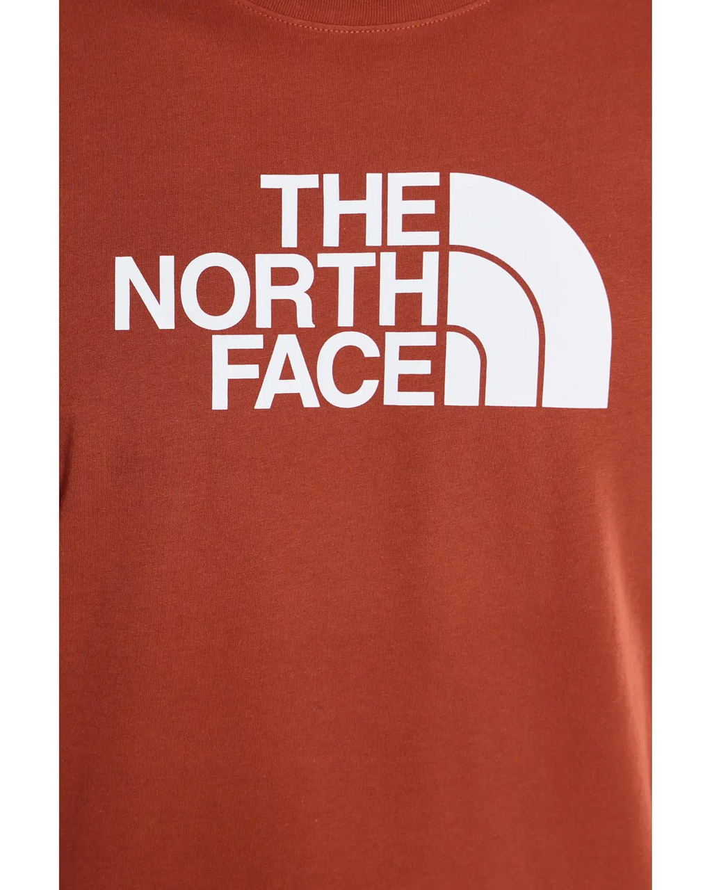 The North Face - Short Sleeve Evolution Half Dome Tee - Men's - Iron Clay