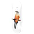 Deathwish Skateboard Deck Yuri Facchini Sabia-Laranjeira 8.125" x 31.5"