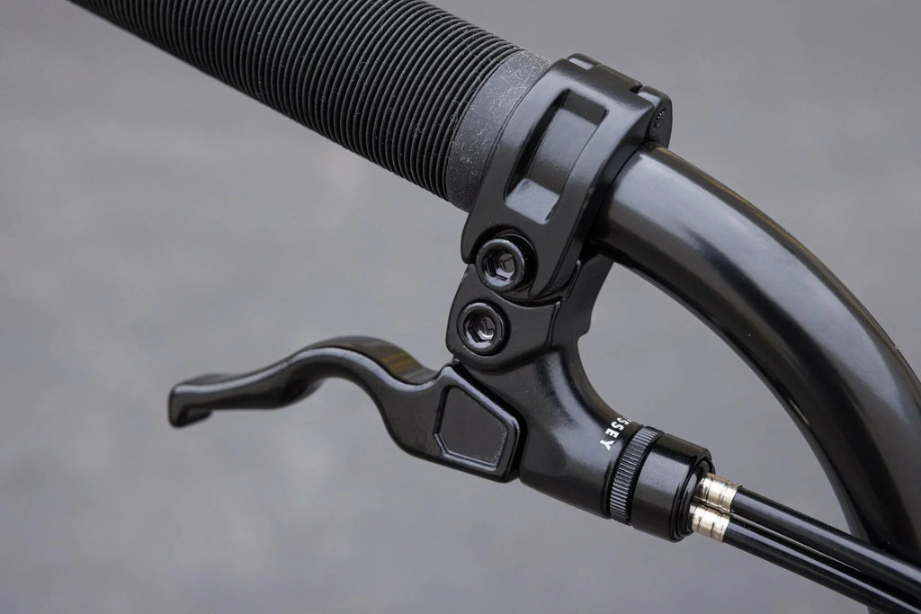 Sunday Forecaster Park Bike (Maca Perez Grasset Signature)